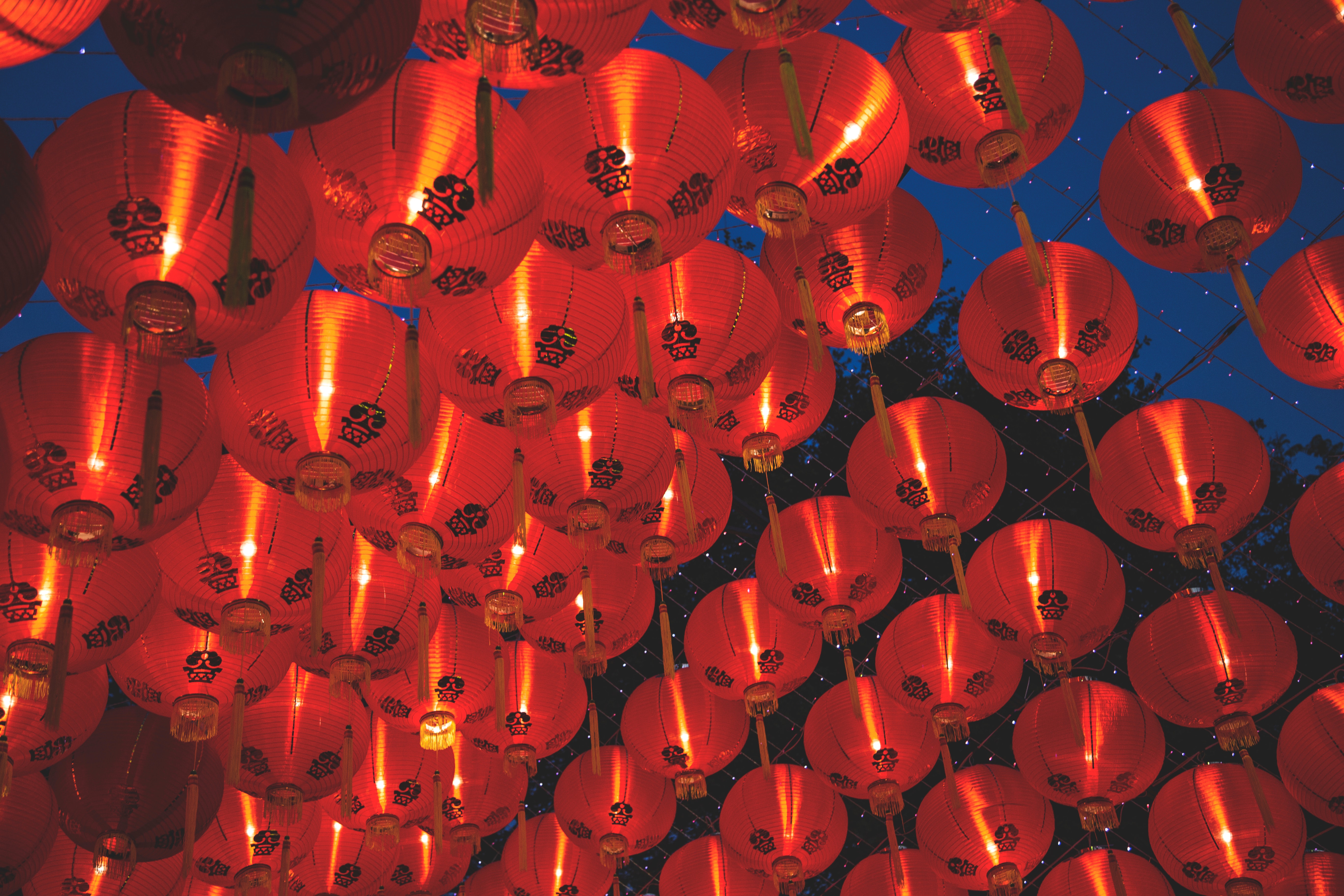 Prepare for the 2022 Chinese New Year Supply Chain Disruption Impact